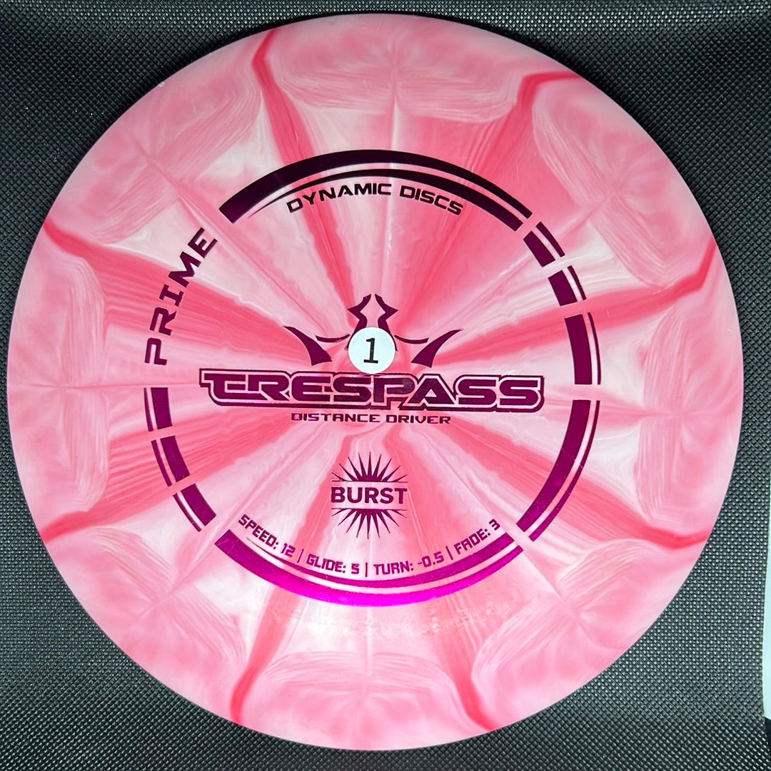 Dynamic Discs Prime Burst Trespass